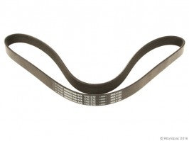 Bando Accessory Drive Belt