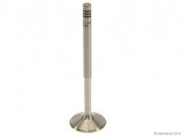 Engine Intake Valve